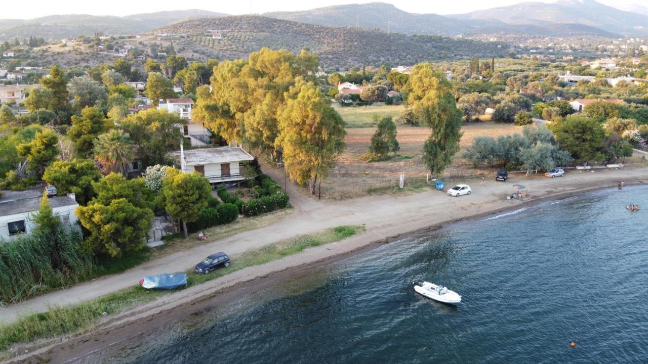 Eretria Holiday House Exterior foto